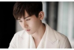 娱乐圈吃瓜成毅是谁,从幕后推手到明星背后的神秘力量